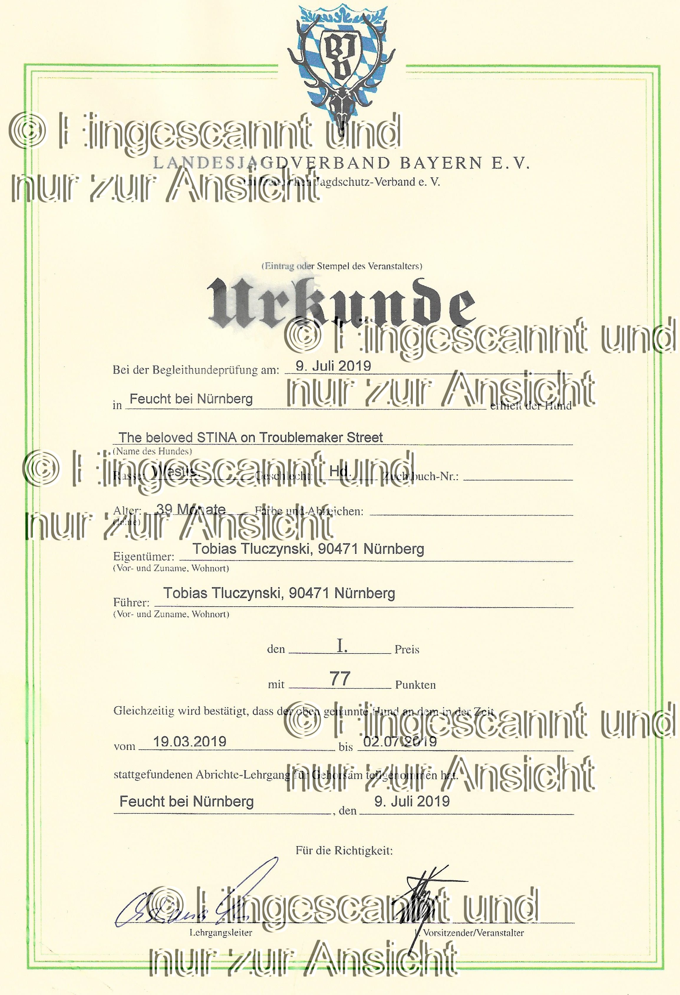Urkunde Begleithundeprüfung