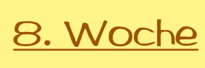 D-Wurf - 8. Woche